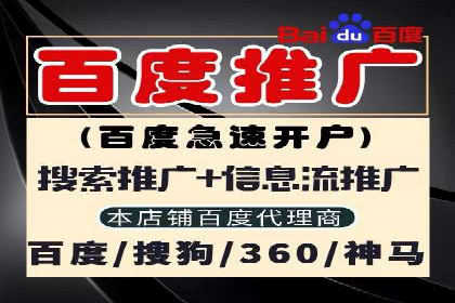 百度竞价赚钱秘诀：实战案例分析